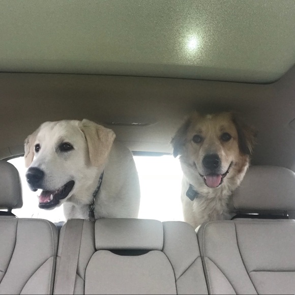 Meet your Posher, Laurie - Picture 3 of 8